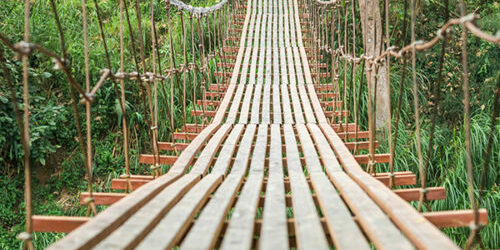stock image of a hanging wooden bridge over foliage